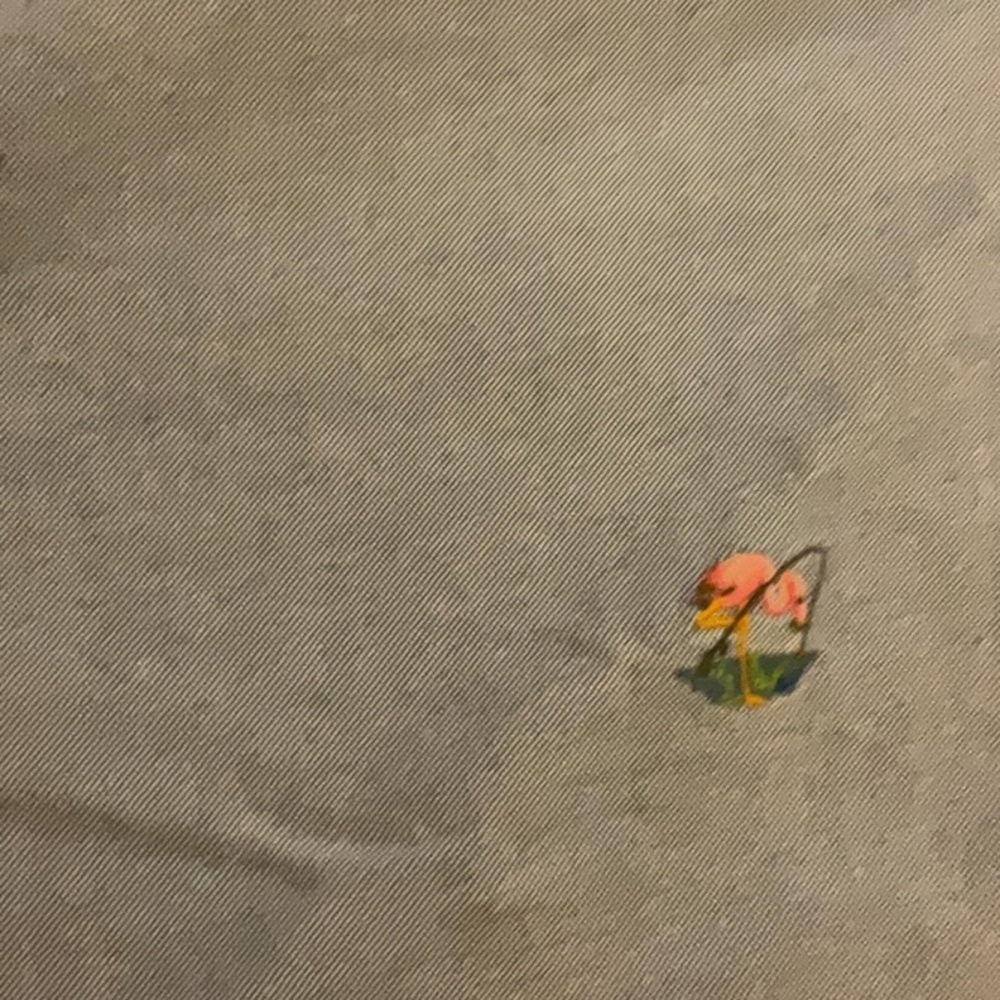 Ralph Lauren Polo Pink Flamingo Shorts XL NWT $125 Preppy - Picture 2 of 5